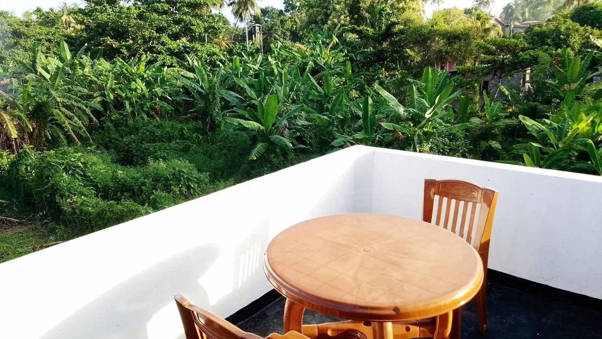 Tropical Suites نيجومبو سريلانكا