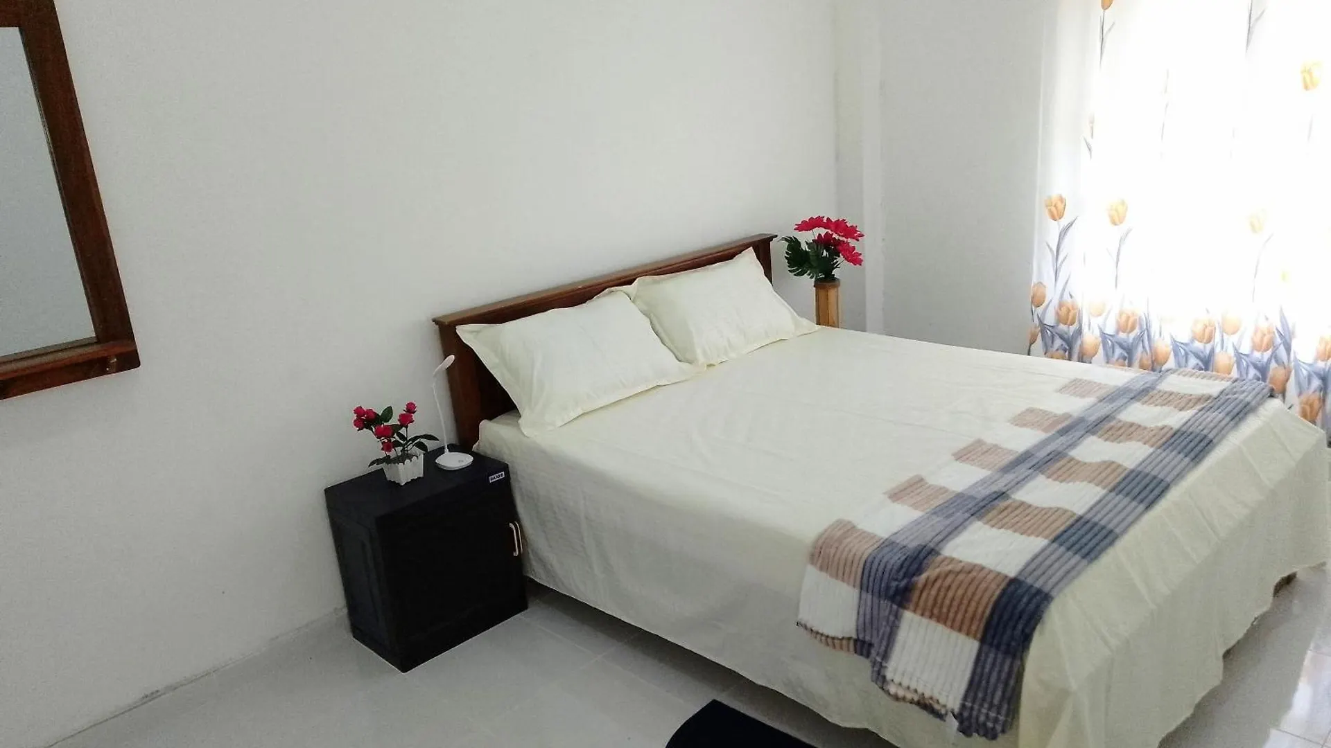 بيت شباب Tropical Suites نيجومبو